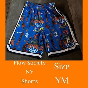 Flow Society Kids Blue NY Graphic Shorts